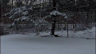 LIMPIANDO  LA NIEVE DE LA CASA  DE LAS SUCULENTAS 