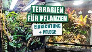 Pflanzen Terrarium Basics mit Olli von @Gruenfaerbtab