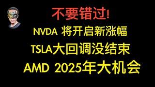 NVDA可继续看涨等待；TSLA回升只能当反弹，短期看390高点；AMD仍在上涨趋势，2025年大机会；MSTR没跌下285还能盘中回升，反之还能下探