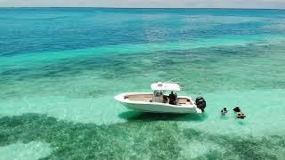 Mosquito Bank Key Largo