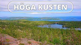 HÖGA KUSTEN SWEDEN HIKING in SKULESKOGEN National Park | VANLIFE TRAVEL VLOG