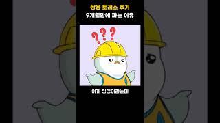 쌍용 토레스 9개월 타본 후기