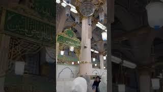 I'm sitting in Rawda Mubarak, the most blessed and beautiful place on earth! #rawdamubarak