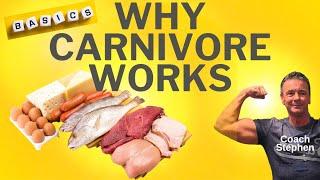 The Benefits of the Carnivore Diet In A Nutshell