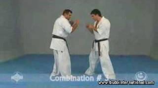 Kyokushinkai Karate