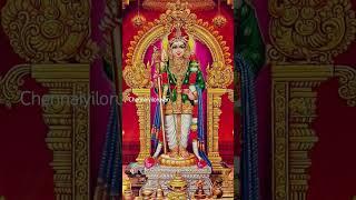 #murugan #muruganthunai #muruganarul #murugandevotes #arumugam #devotees #positivevibes #vadapalani