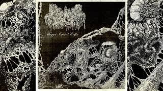 Reaping Death - Maggot Infested Coffin (Full EP 2024)