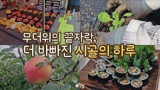 Preparing for Autumn in the Countryside! traditional market day, seedlings, harvesting crops, Kimbap