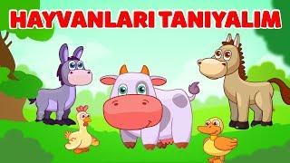 Hayvanları ve Seslerini Tanıyalım Bebek Şarkısı - Kırmızı Tren Kloppi Şarkıları