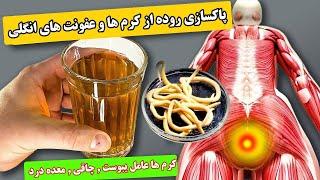 پاکسازی معده و روده ها از کرم ها