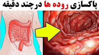 پاکسازی روده ها در چند دقیقه با یک معجون کاملا طبیعی