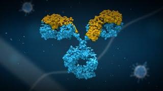Four integrated technologies for Biologics developability assessment