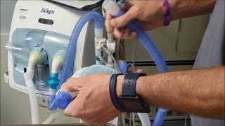 RT Clinic : Quick Hit Tutorial - Nitric Oxide Admin with Mechanical Ventilation