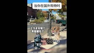 当你在国外购物时  #猫meme #搞笑 #喵哥是萌新  #meme #cat #人類迷惑行為  #猫meme小剧场 #funny #meme猫  #memes #零元购