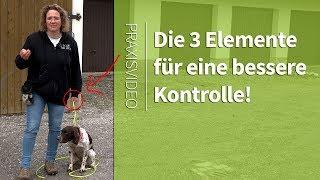 Hundetraining ►Die 3 Elemente um deinen Hund besser zu kontrollieren ► Praxisvideo