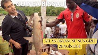 Atlas Okyanusu’nun Gizli Zenginliği! (YENİ BÖLÜM)/ The Hidden Riches of the Atlantic Ocean!