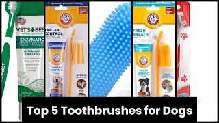 TOOTHBRUSH FOR DOGS: Top 5 Toothbrushes for Dogs 