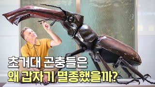 초거대 곤충들이 사라져버린 진짜 이유! 지구가 바뀌면 초거대 곤충의 시대가 다시 온다고?