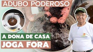 ECONOMIZE DINHEIRO usando esse ADUBO ORGÂNICO nas suas plantas - Masuji Kayasima