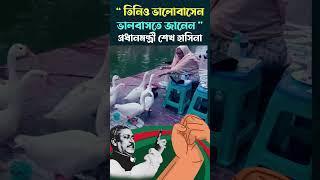 তিনিও ভালোবাসেন ভালবাসতেও জানেন প্রধানমন্ত্রী শেখ হাসিনা