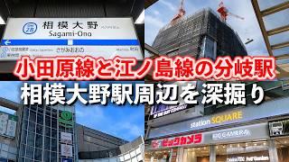 相模大野「小田急小田原線と江ノ島線の分岐駅で、タワマンも建設中の駅周辺を深掘り」【2024年10月】