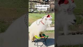 Betaab valley kashmir | Betaab movie shooting | pahalgam kashmir