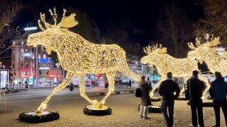 Stockholm Walks: Christmas lights, street life, dark waters and a family of moose.