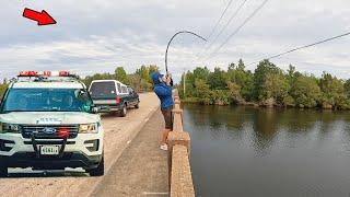 Trying to Catch Dinner at a Crowded HWY Bridge!