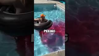 "Shocking Moment Revealed Who's Been Peeing in the Pool!  (Watch What Happens Next!)" #funny