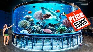 How Much Did I PAY for my GIANT SHARK TANK?!