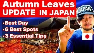 Autumn Travel Tips - Japan's Autumn Foliage Updates 2024  | Best Day, Best spots and Essential tips