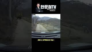 #6. 아 천천히 오세요!! 앞에 차 있거든여?!  #shorts