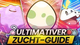 DER ULTIMATIVE ZUCHT GUIDE - So bekommt ihr in 10 Minuten das PERFEKTE Pokemon in Karmesin & Purpur!