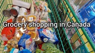 Grocery Shopping Compilation in Canada Summary of November grocery shopping with prices.