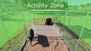 K9 Kennel Store Pet Cam