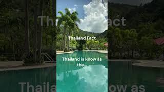 Have you been to Thailand? Let me know in the comments! #shorts #digitalnomad #travel #thailand