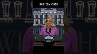 New Media asks: Trump TROLLING or TRUTHING?