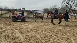 WSCF First Open Arena. Calf Roping 131240