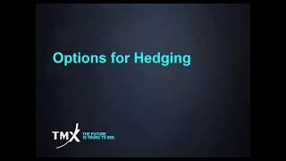 Part E : Options as a Hedging Strategy | National Bank Direct Brokerage