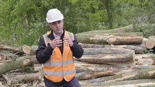 Forestry for Non-Foresters: Health and Safety