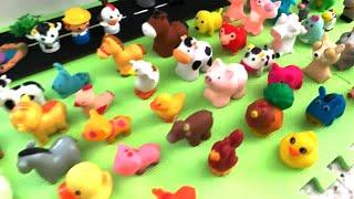 Farm Animals in Blue Foam Beads, Blue Tub, and Blue Slide