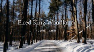 What I Saw In Eldred King Woodlands, York Region Forest || 24mm + 85mm