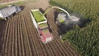 2018 Corn Harvest