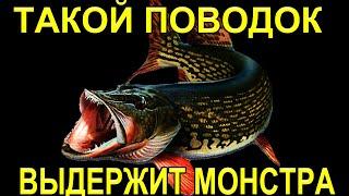 Поводок для ловли хищницы щуки a leash for catching a predator pike