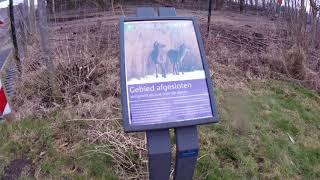 A ride around the Oostvaardersplassen wetlands