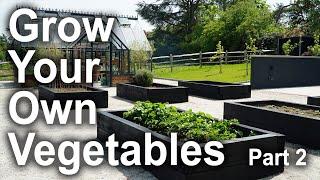 Spring | Grow your own vegetables Part 2 | 2024 | Raised beds | Greenhouse | Planting out