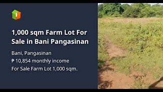 1,000 sqm Farm Lot For Sale in Bani Pangasinan