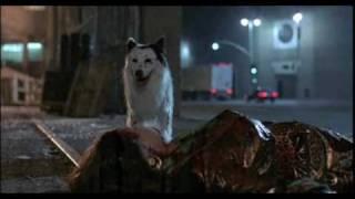 Alien Dog in THE HIDDEN (1987)