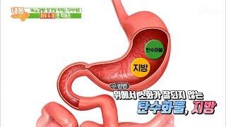 ‘하루 두 끼 다이어트’ 위한 효과적인 식사법은?! ◉0◉ [내 몸 사용설명서] 259회 20190705