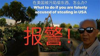 What to do if you are falsely accused of stealing in USA 在美国被诬陷偷东西，怎么办？追梦者胡 0272024